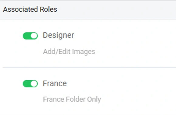 Product example showing a team member assigned the Designer and France roles