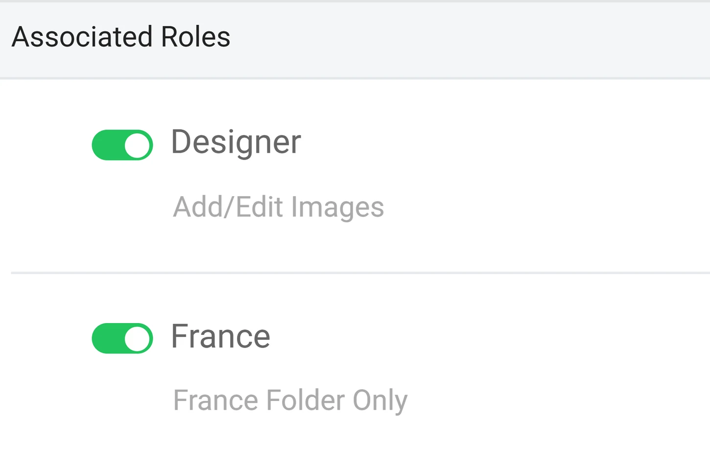 User details example showing the Designer role for image work and France role for folder access