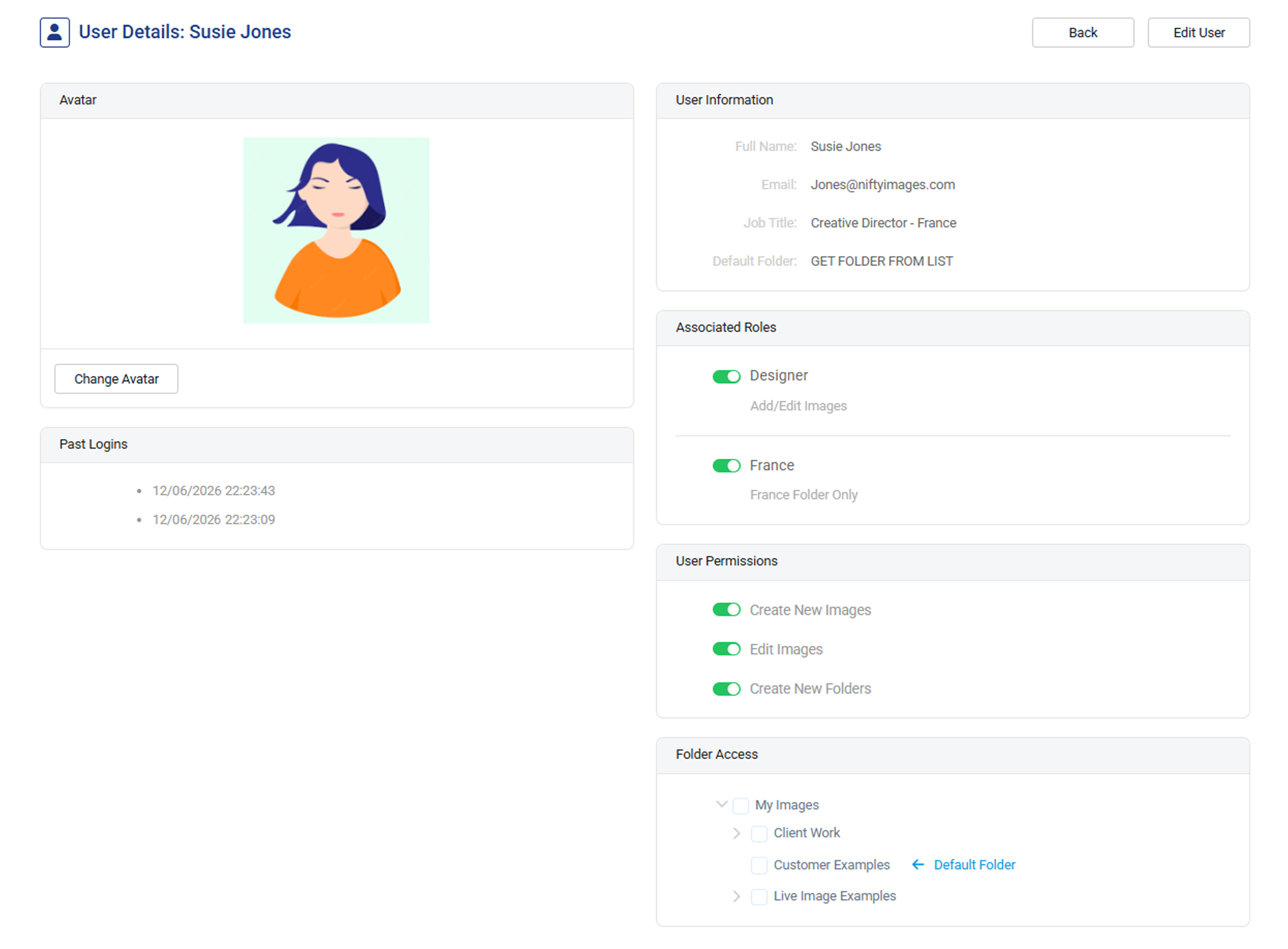 Custom role configuration with granular permissions